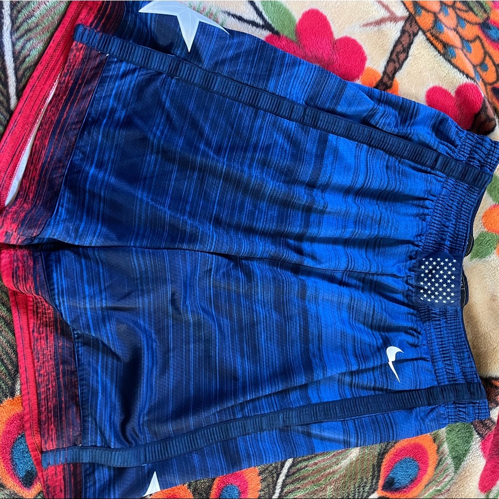Team USA NIKE SHORTS SIZE LARGE